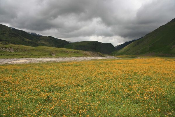 Эльбрус поляна из Пятигорска